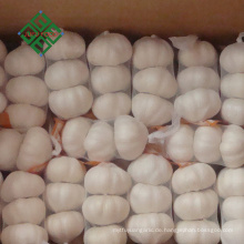 2018 China heißer Verkauf frischen reinen weißen Knoblauch Preis